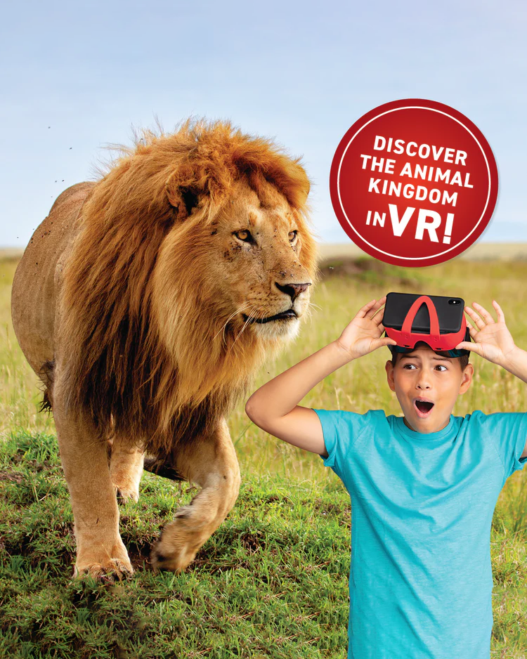 Abacus VR - Discovery Box Animals