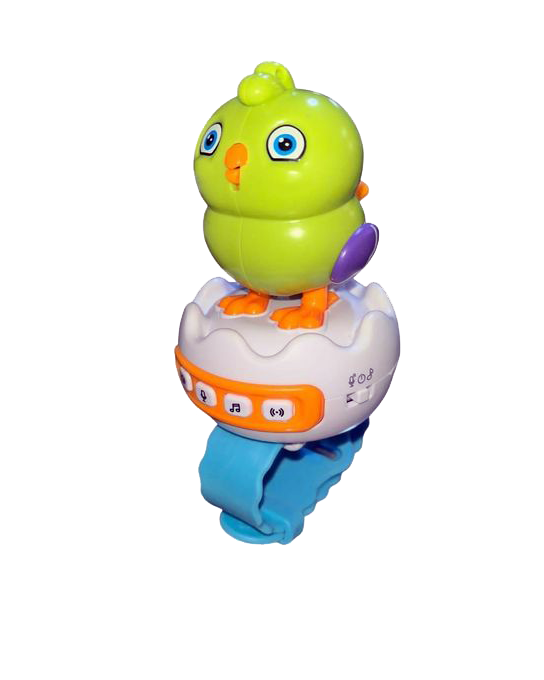 Interactive Smart Bird Watch