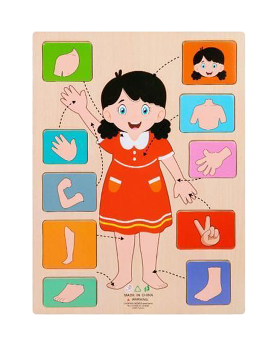 Montessori Body Parts Wooden Puzzle