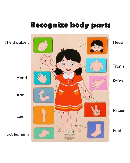 Montessori Body Parts Wooden Puzzle