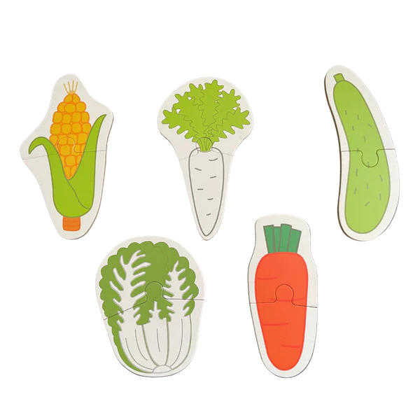 The "Little Creator" STEAM & Play Bundle (4-in-1)