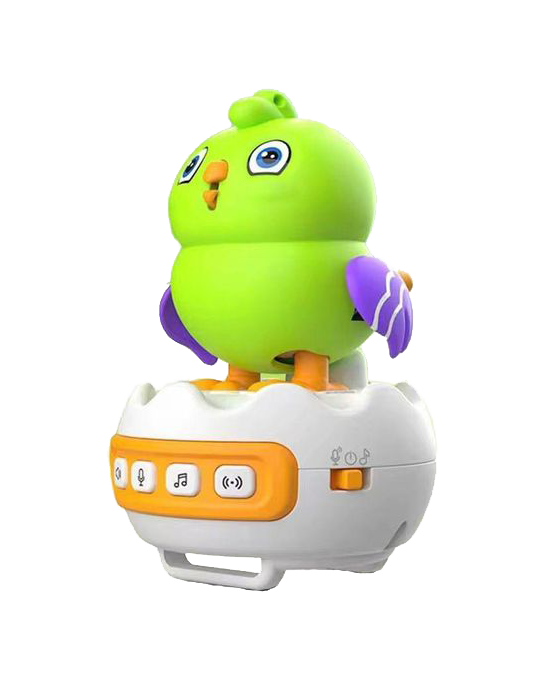 Interactive Smart Bird Watch