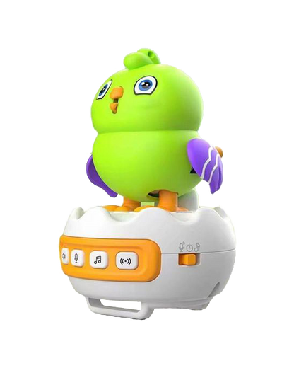 Interactive Smart Bird Watch