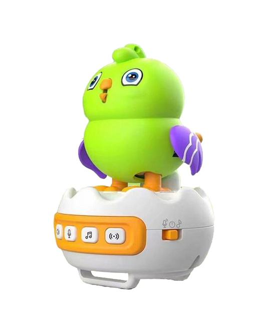 Interactive Smart Bird Watch