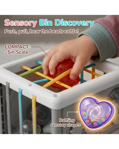 Interactive Musical Sensory Cube
