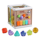 Interactive Musical Sensory Cube