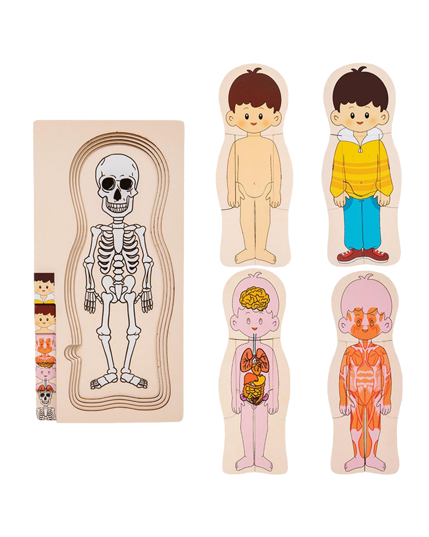 The "Little Discoverer" Montessori & Science Bundle (6-in-1)