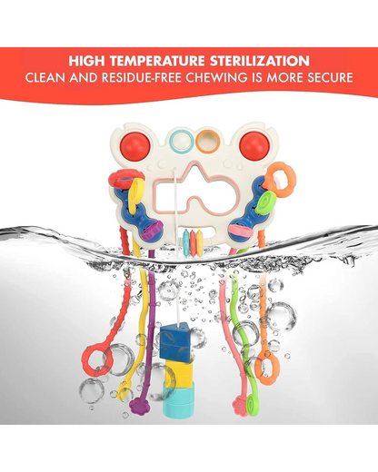 Multi-Sensory Pull String Toy
